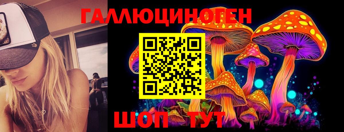Галлюциногенные грибы MAGIC MUSHROOMS  где купить наркотик  Псилоцибиновые грибы Magic Shrooms  Псков  Вход с VPN 